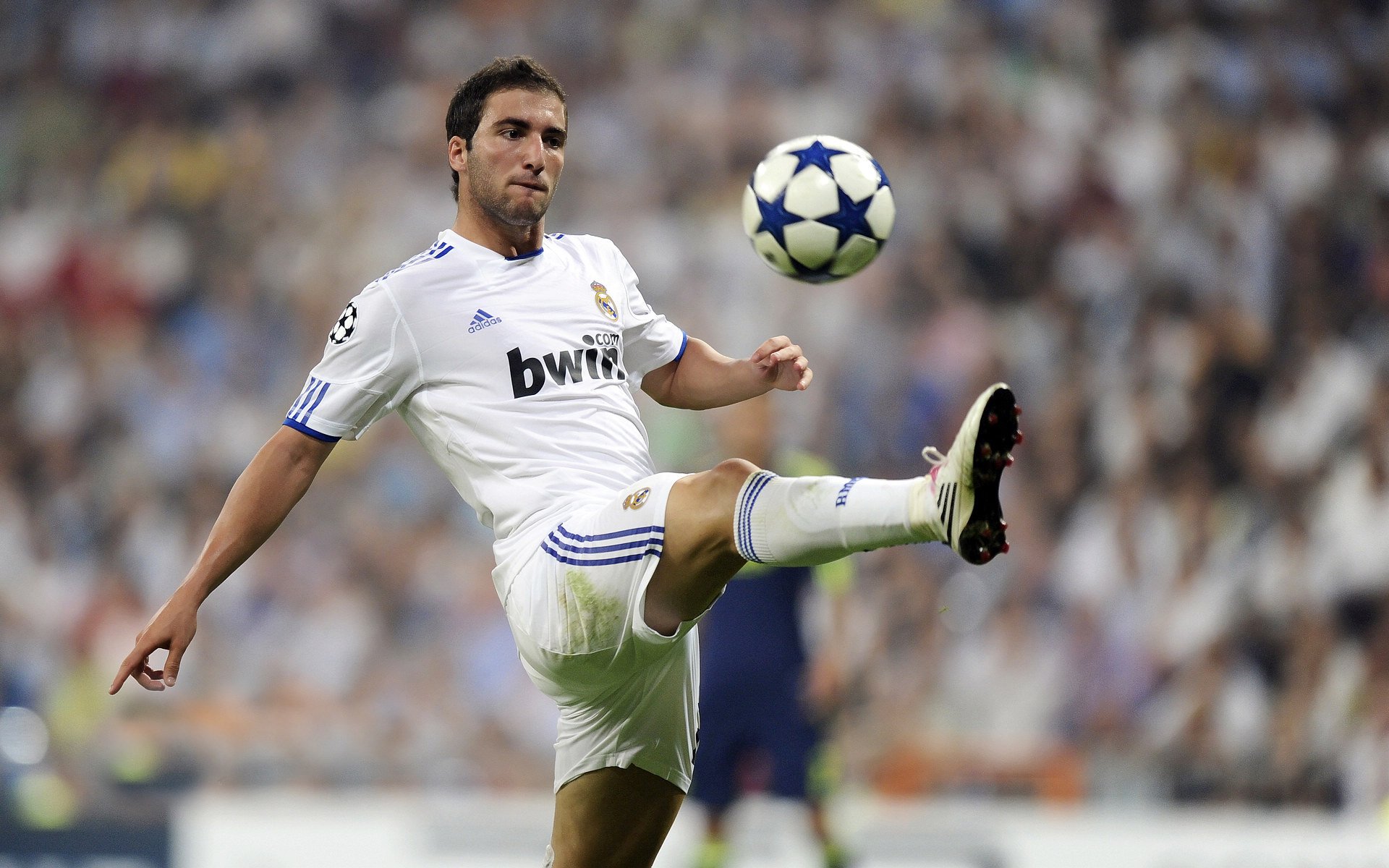 潜力“黑马”崛起：未来几年的巨大可期，2021年潜力黑马股